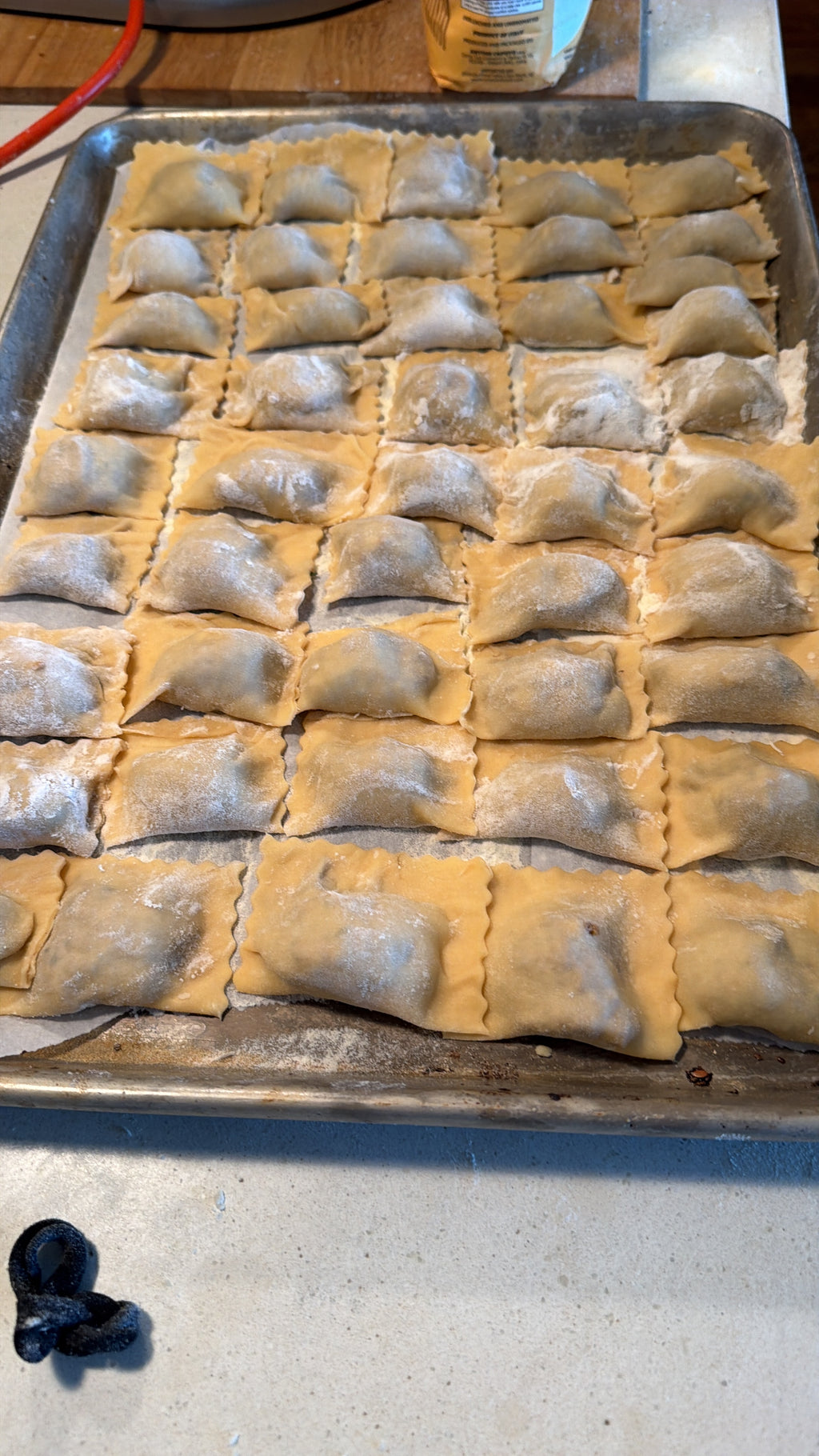 Traditional Italian Meat Ravioli with Slow-Cooked Ragù