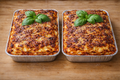 Lasagna (small) pack of 2
